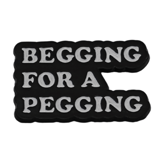 Begging For A Pegging Enamel Pin